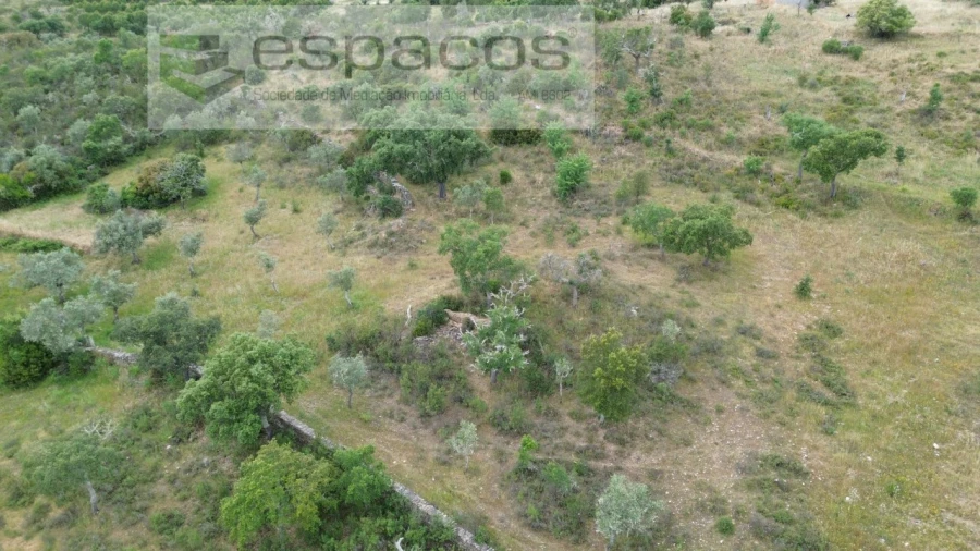 Terreno para Venda em Perais Foto 11