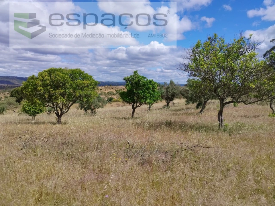 Quinta para Venda em Perais Foto 17