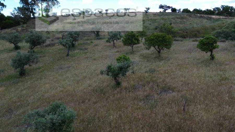 Quinta para Venda em Perais Foto 20