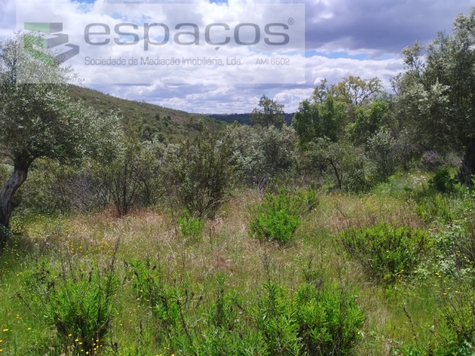 Terreno para Venda em Perais Foto 8