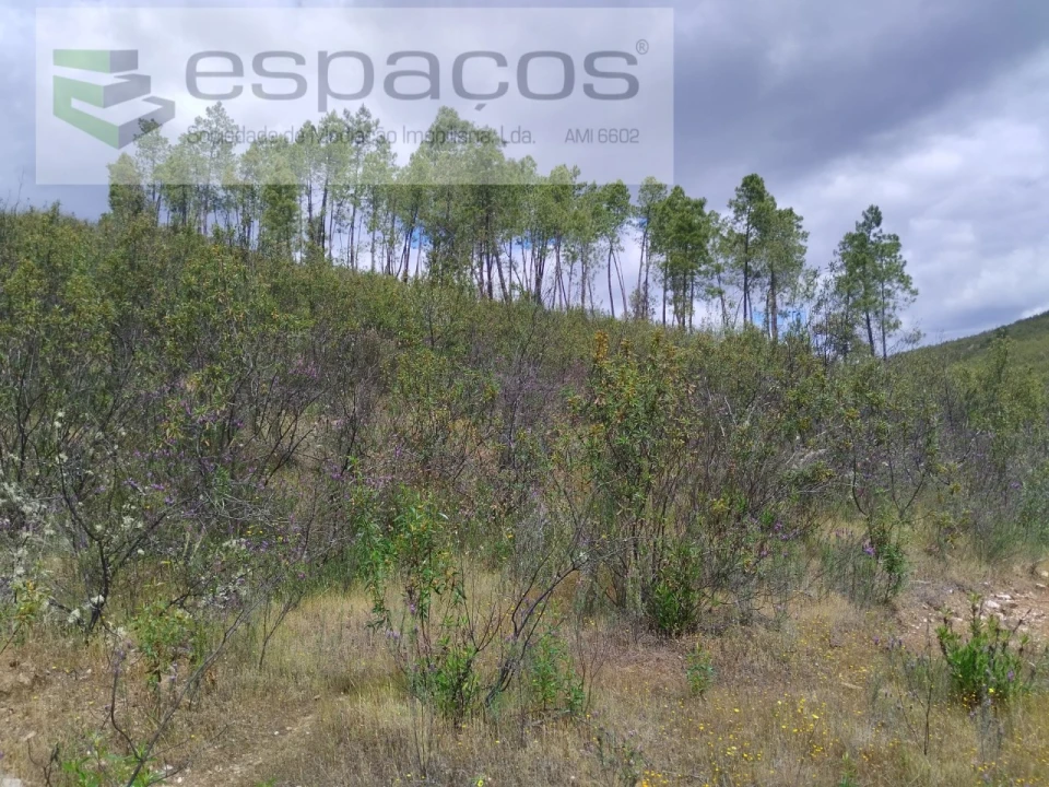 Terreno para Venda em Perais Foto 9