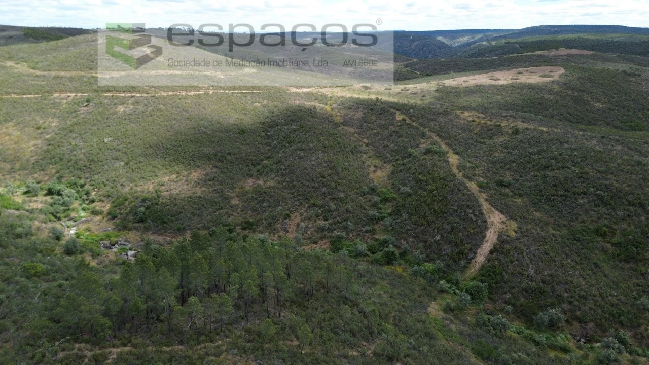 Terreno para Venda em Perais Foto 10