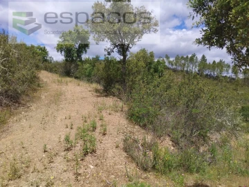 Terreno para Venda em Perais