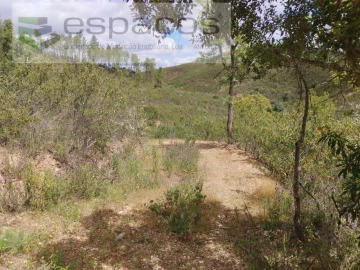 Terreno para Venda em Perais