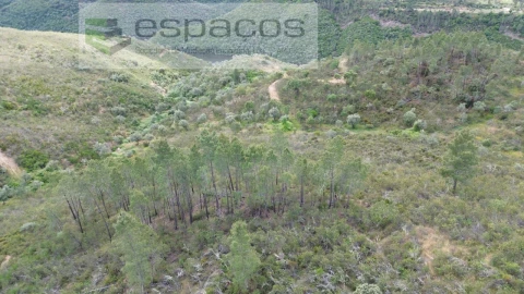 Terreno para Venda em Perais