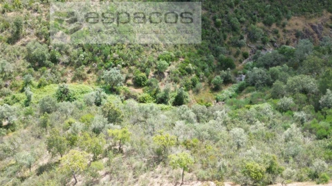 Terreno para Venda em Perais