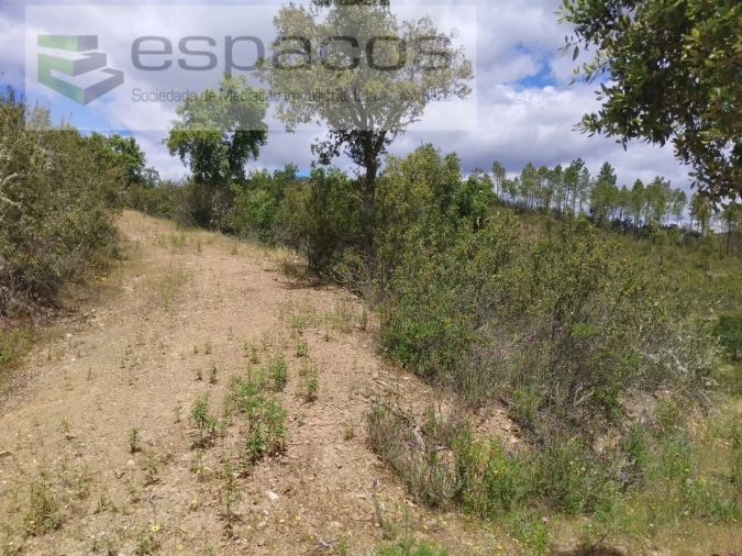 Terreno para Venda em Perais Foto 6