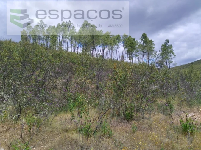 Terreno para Venda em Perais Foto 9