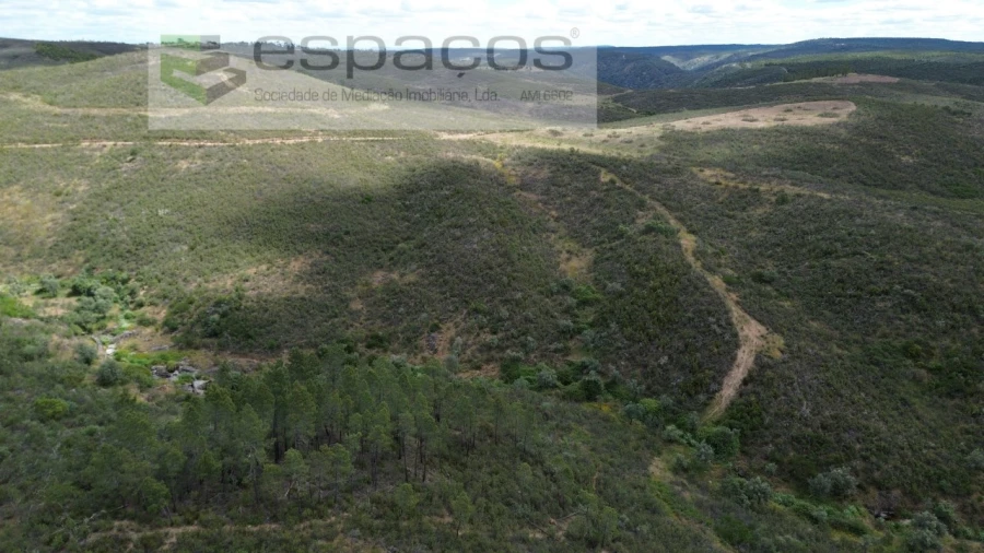 Terreno para Venda em Perais Foto 10