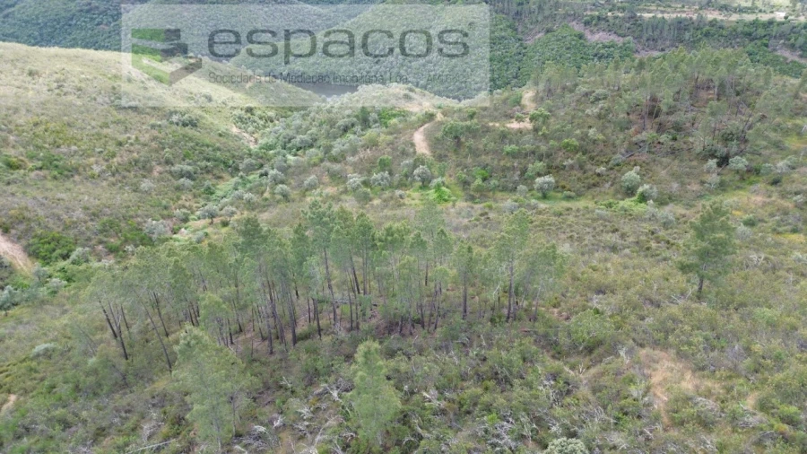 Terreno para Venda em Perais Foto 12