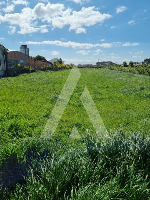 Terreno para Venda em Aradas