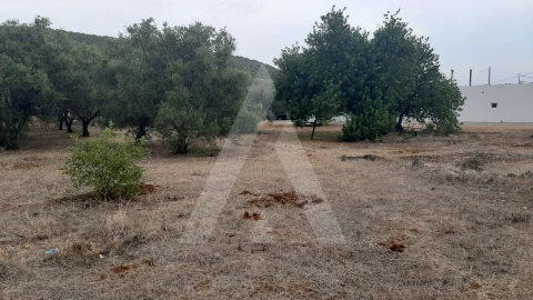 Terreno para Venda em São Brás de Alportel