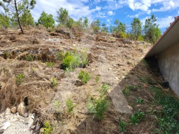 Terreno Agricola ou Rústico para Venda em Abraveses