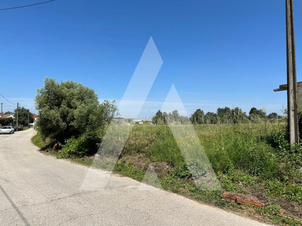 Terreno para Venda em Avelãs de Caminho Foto 1