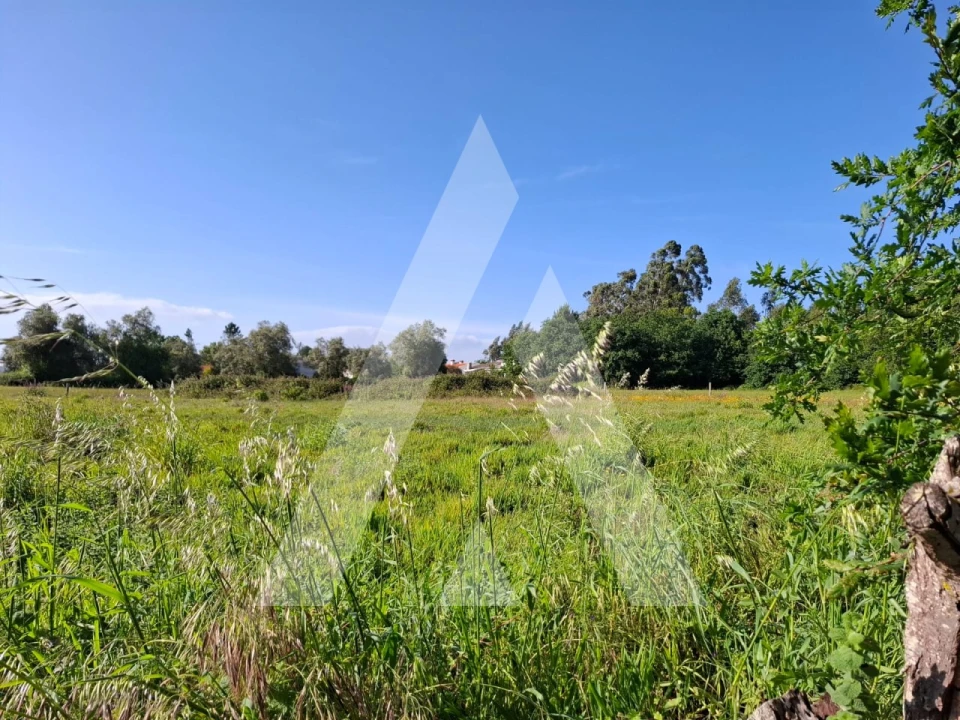 Terreno para Venda em Avelãs de Caminho Foto 5