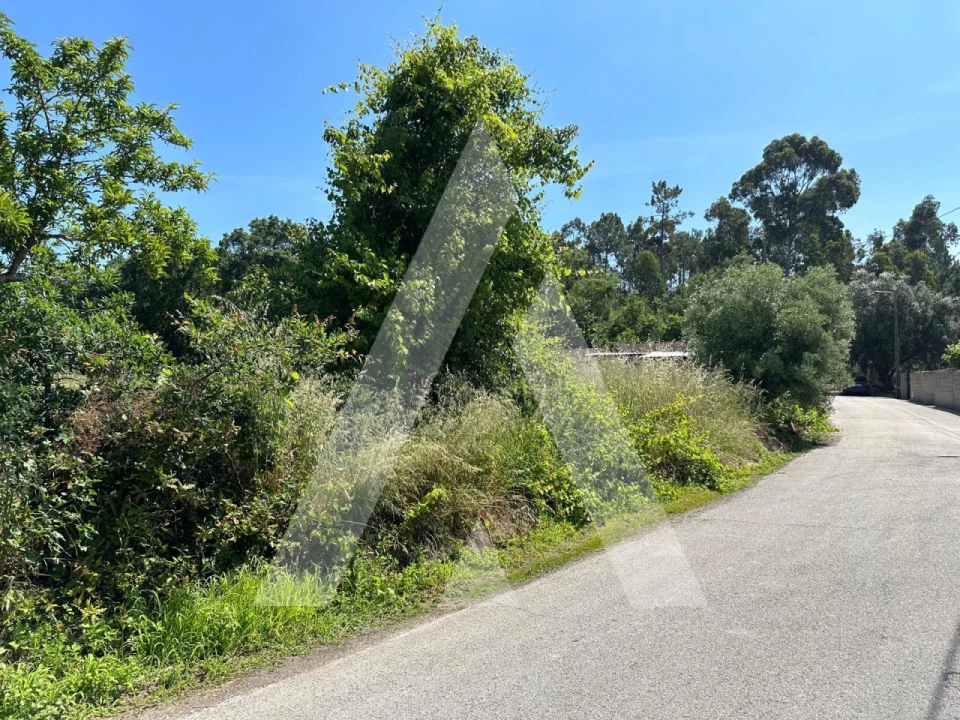 Terreno para Venda em Avelãs de Caminho Foto 8