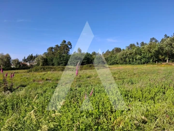 Terreno para Venda em Avelãs de Caminho