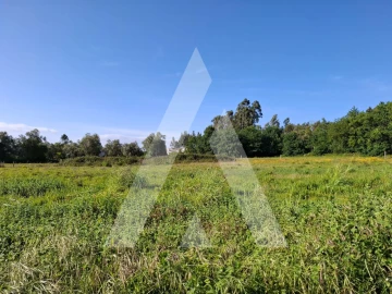 Terreno para Venda em Avelãs de Caminho