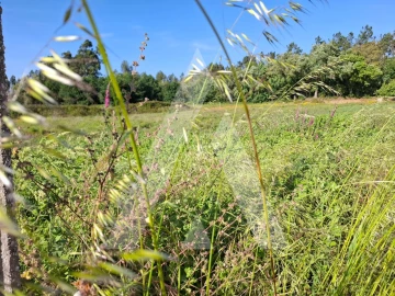 Terreno para Venda em Avelãs de Caminho