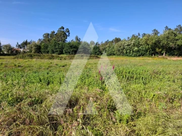Terreno para Venda em Avelãs de Caminho