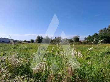 Terreno para Venda em Avelãs de Caminho