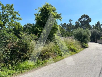 Terreno para Venda em Avelãs de Caminho