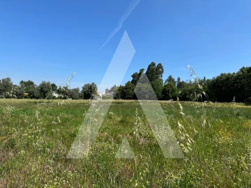 Terreno para Venda em Avelãs de Caminho