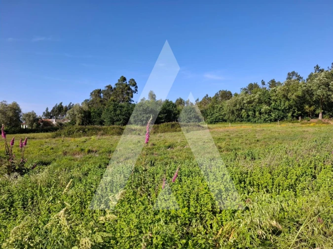 Terreno para Venda em Avelãs de Caminho Foto 2