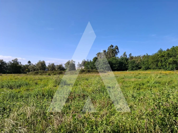 Terreno para Venda em Avelãs de Caminho Foto 3