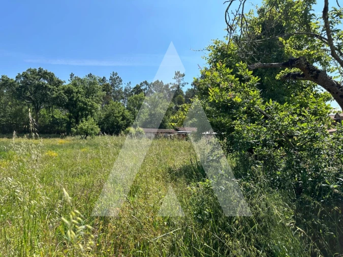 Terreno para Venda em Avelãs de Caminho Foto 9