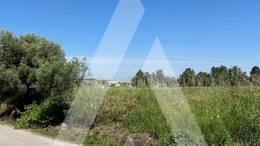 Terreno para Venda em Avelãs de Caminho