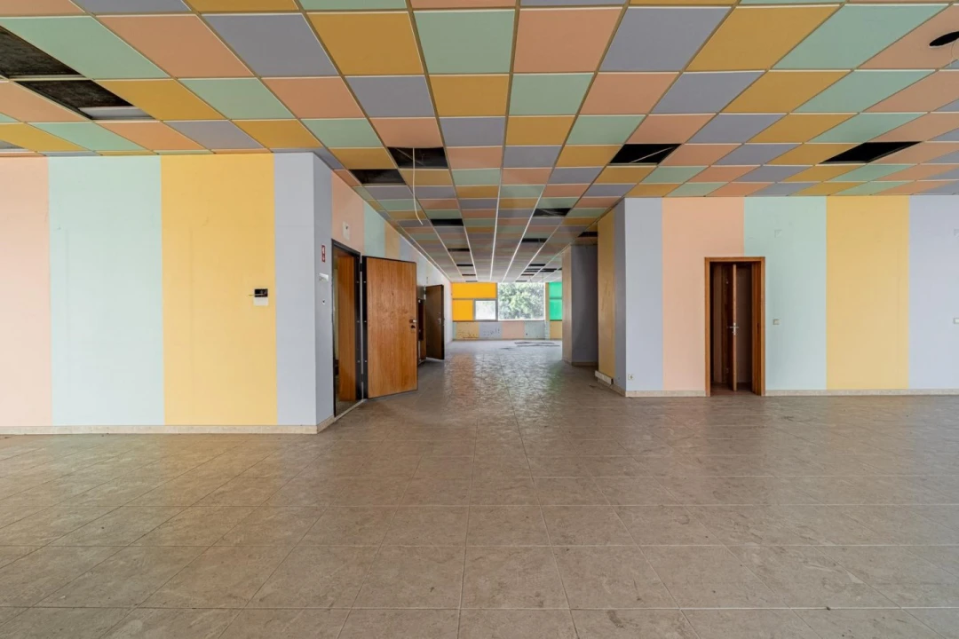 Armazém para Arrendamento em Arvore Foto 5