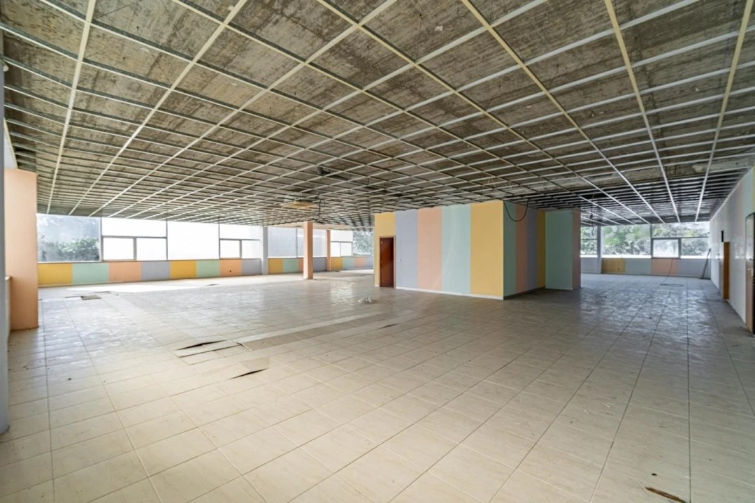 Armazém para Arrendamento em Arvore Foto 10