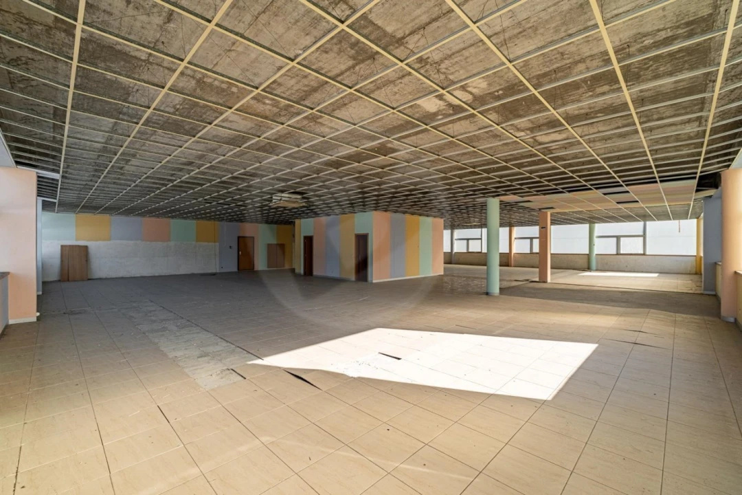 Armazém para Arrendamento em Arvore Foto 13