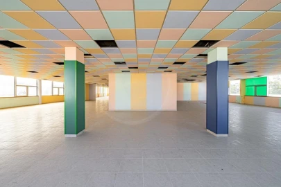 Armazém para Arrendamento em Arvore
