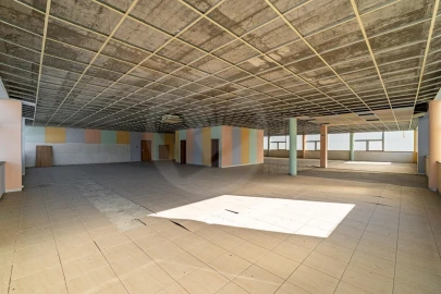 Armazém para Arrendamento em Arvore