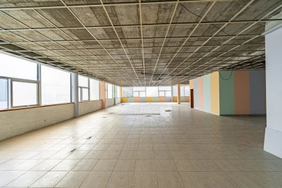Armazém para Arrendamento em Arvore