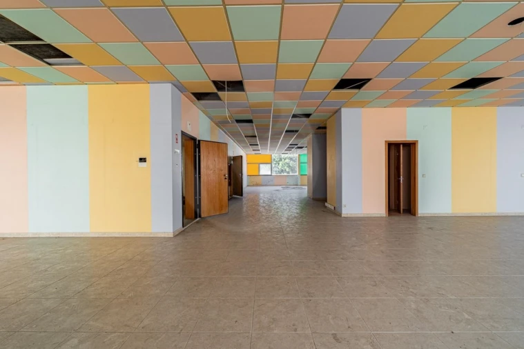 Armazém para Arrendamento em Arvore Foto 5