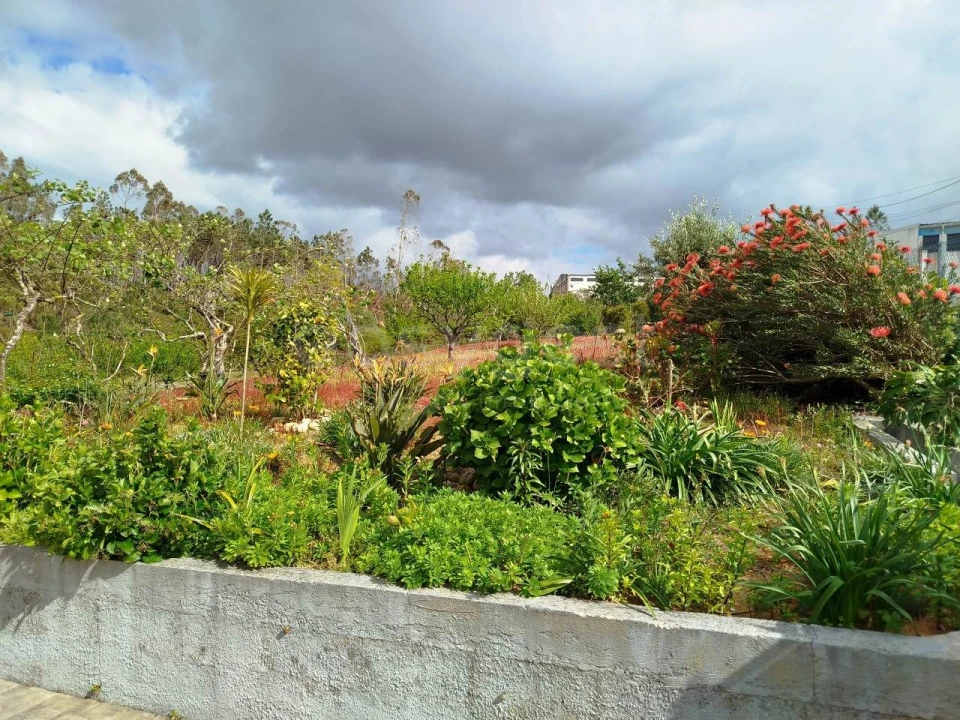 Moradia T4 para Venda em Bidoeira de Cima Foto 16