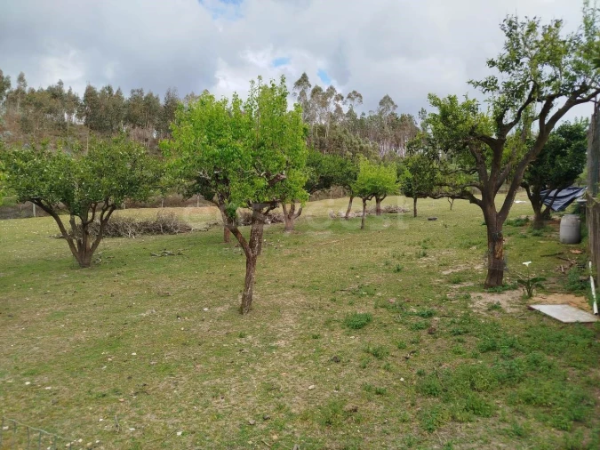 Moradia T4 para Venda em Bidoeira de Cima Foto 10