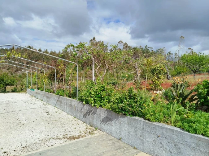 Moradia T4 para Venda em Bidoeira de Cima Foto 15