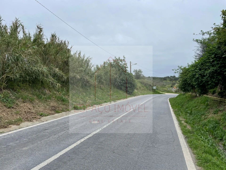 Terreno para Venda em Canha Foto 6