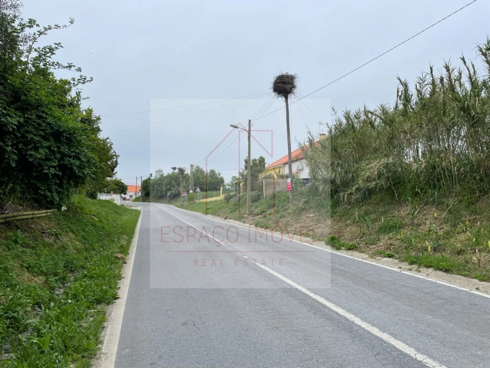 Terreno para Venda em Canha Foto 8