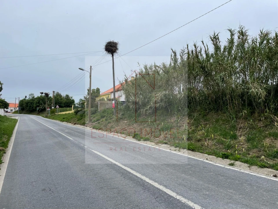 Terreno para Venda em Canha Foto 10