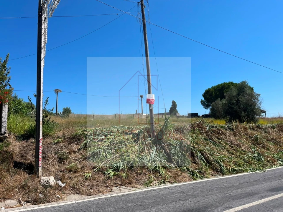 Terreno para Venda em Canha Foto 9
