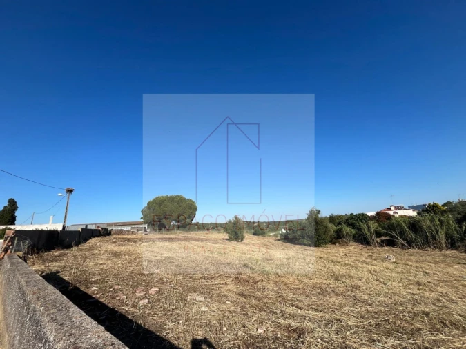 Terreno para Venda em Canha Foto 5