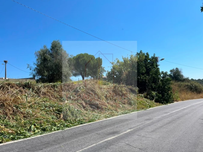 Terreno para Venda em Canha Foto 11
