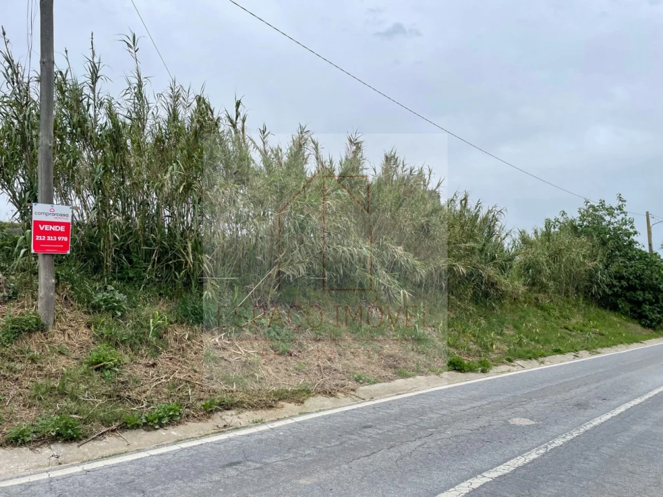 Terreno para Venda em Canha Foto 5