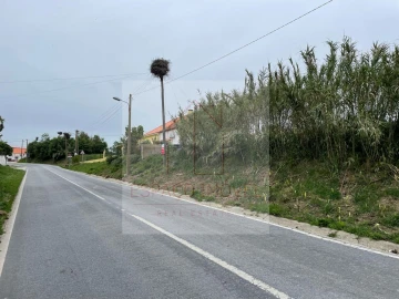 Terreno para Venda em Canha