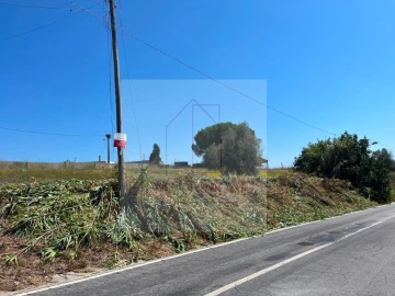 Terreno para Venda em Canha